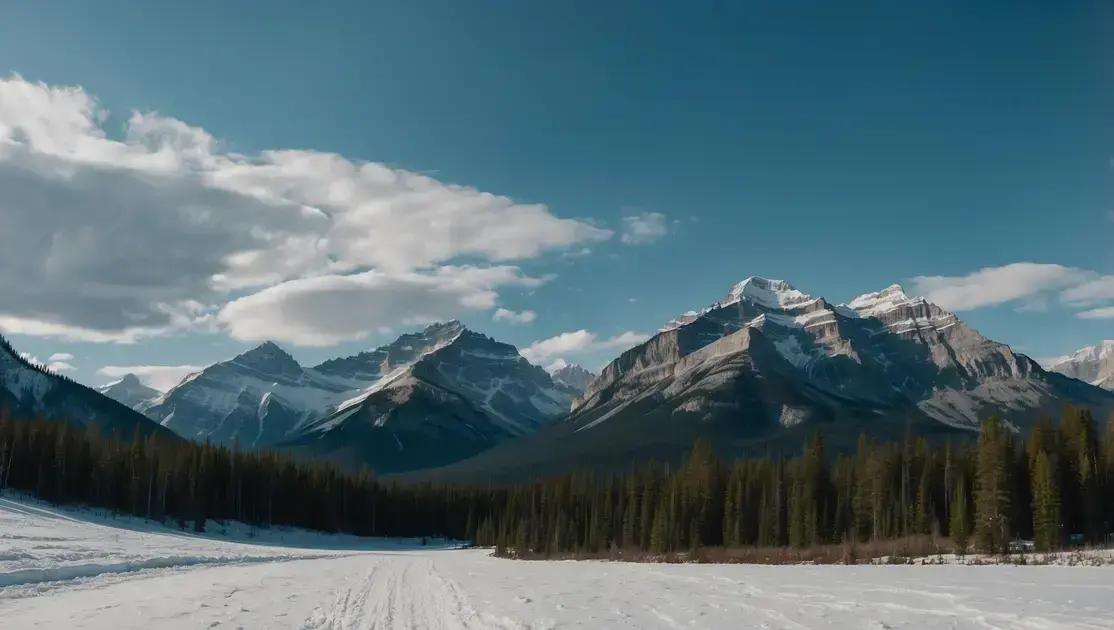 Exploring the World: Where Canadians Travel and Why